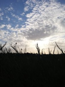 נוף שמיים מעוננים